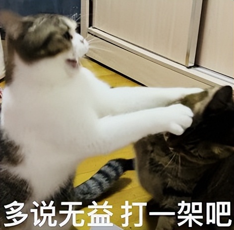 图片[7]-不用跟 AI 客气！新研究：语气越粗鲁回答正确率-AI Spot